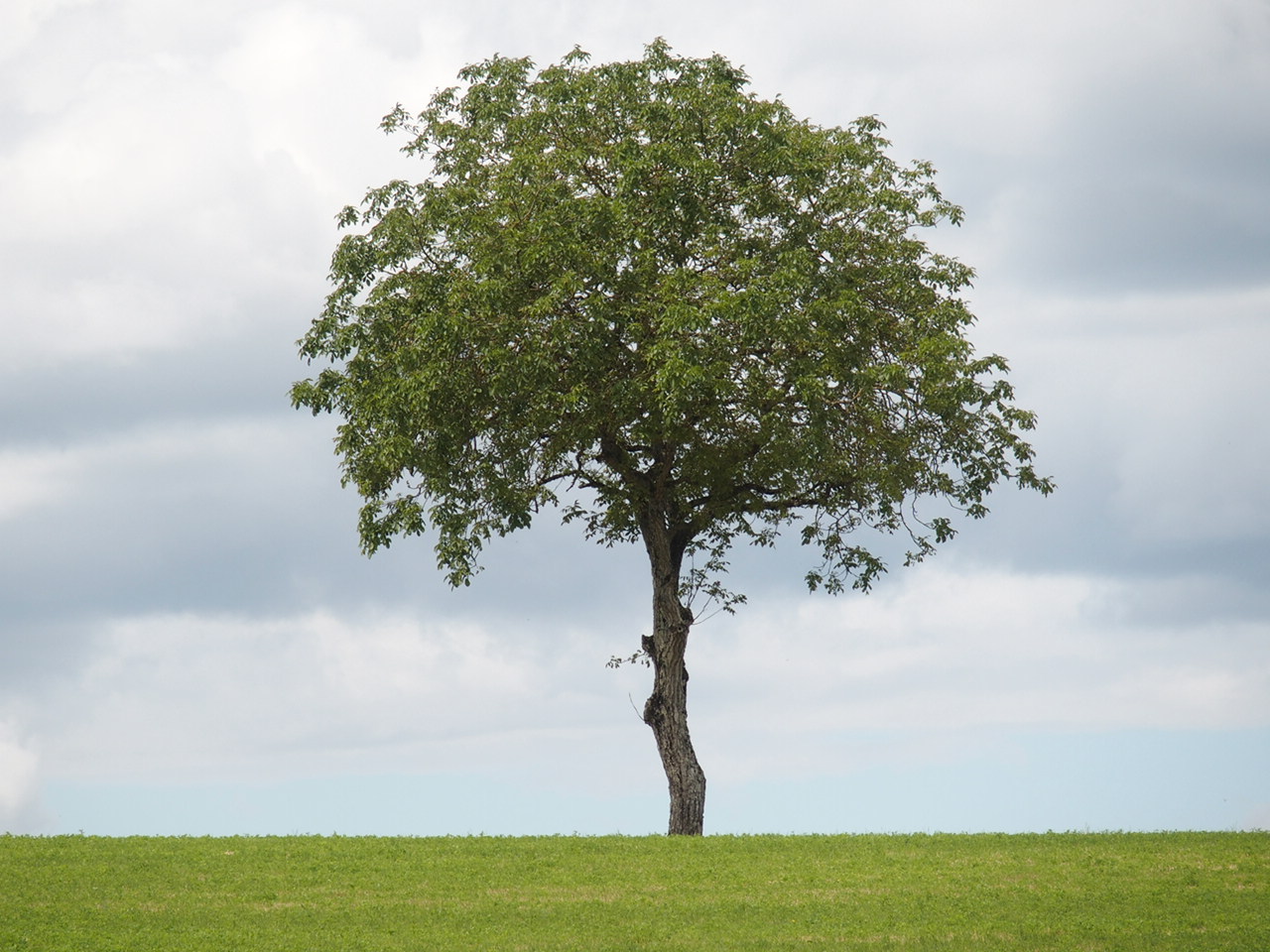 Aucune photo pour cette étape.